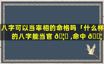 八字可以当宰相的命格吗「什么样的八字能当官 🦁 ,命中 🐦 注定能当官的八字」